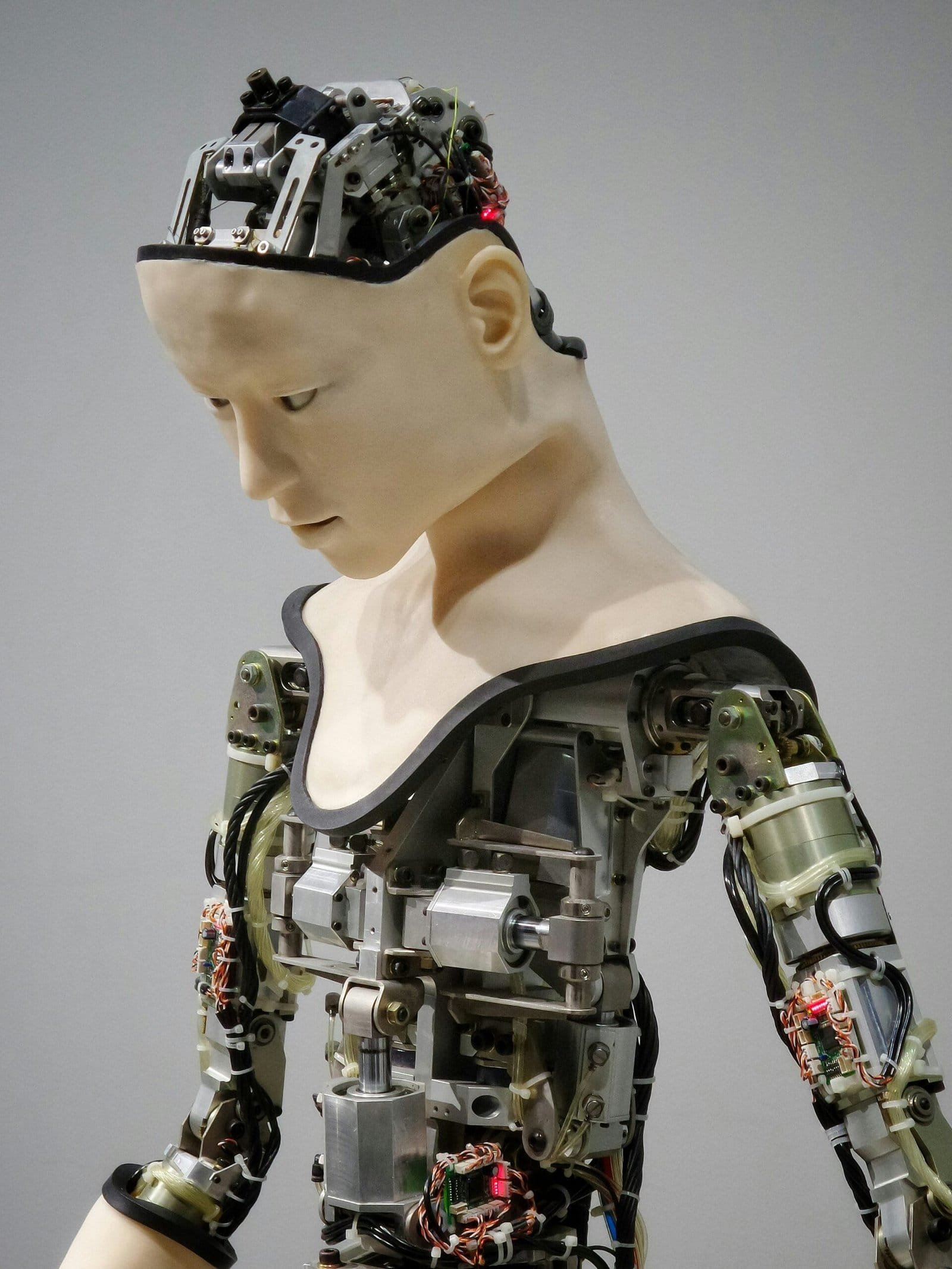Harnessing Machine Learning for Enhanced Customer Service 2 white and brown human robot illustration